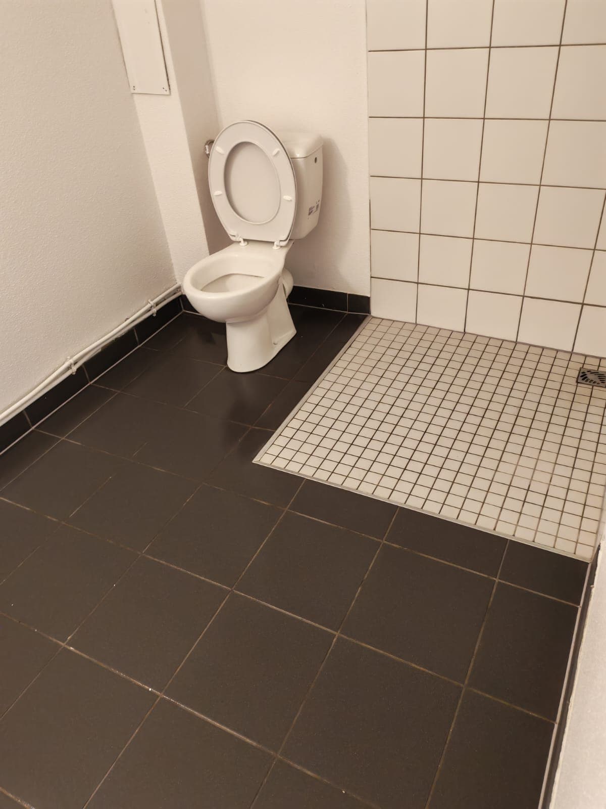 Nettoyage Toilettes - Après