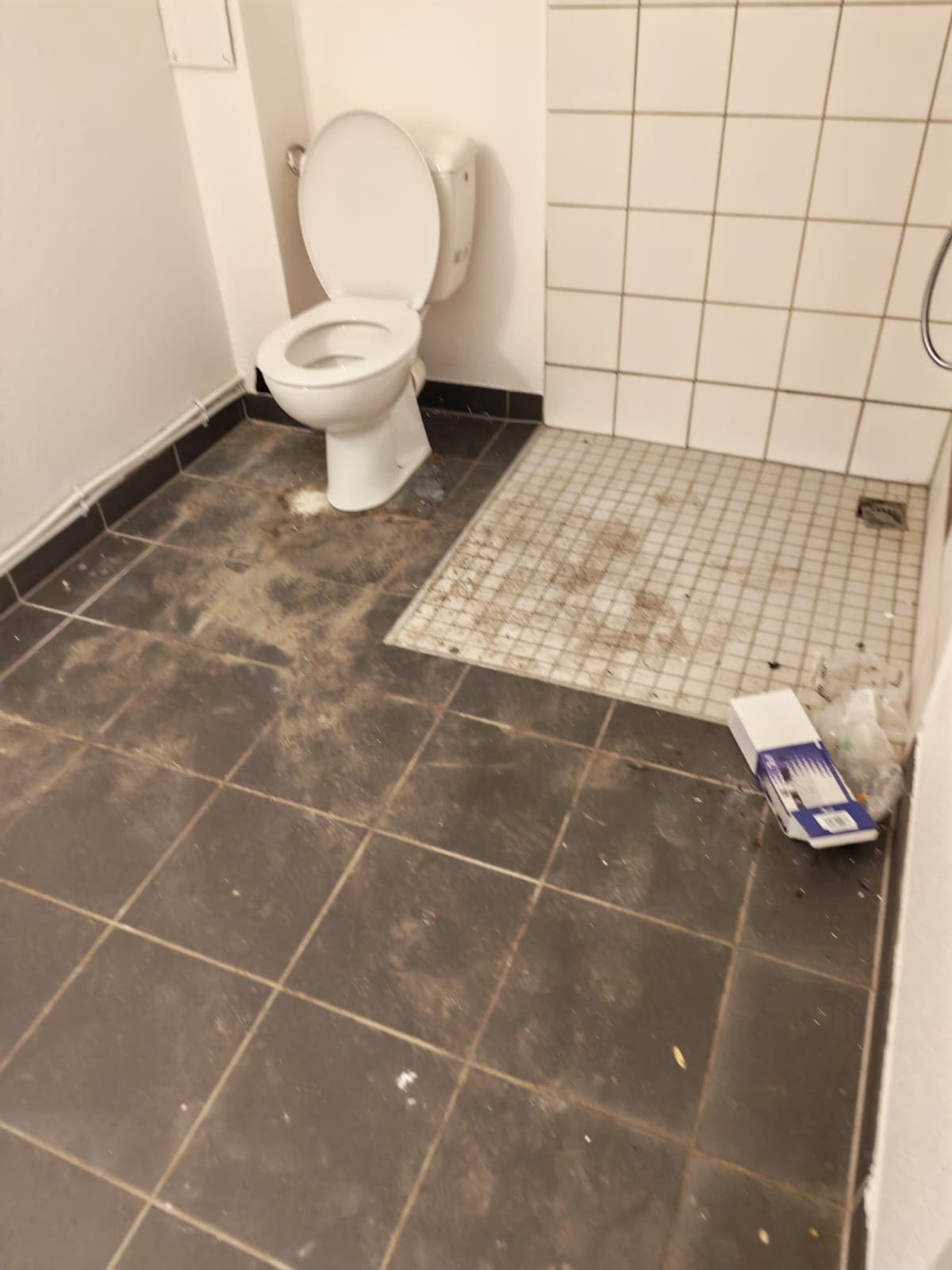 Nettoyage Toilettes - Avant