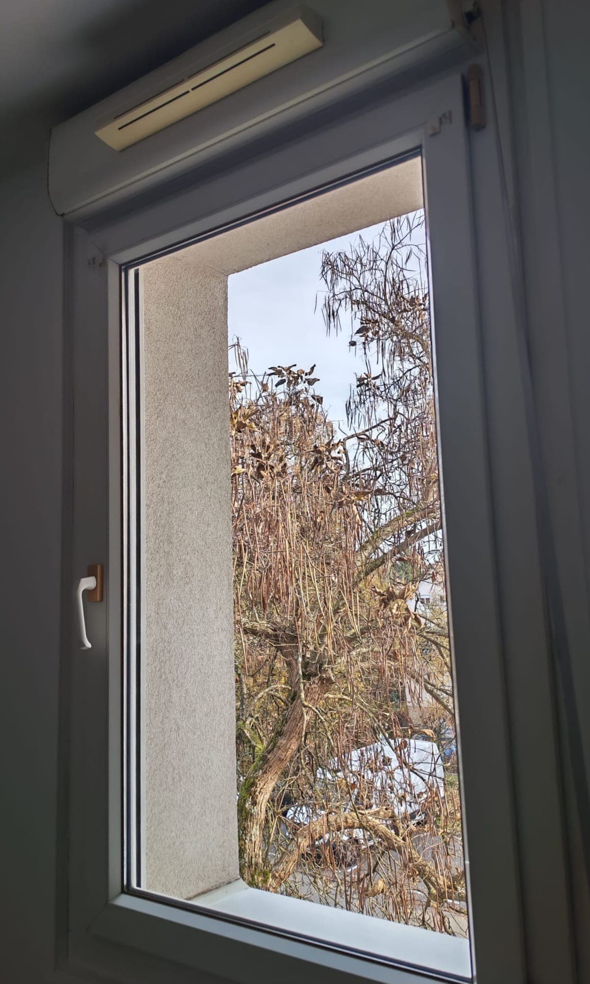 Nettoyage Vitres - Après