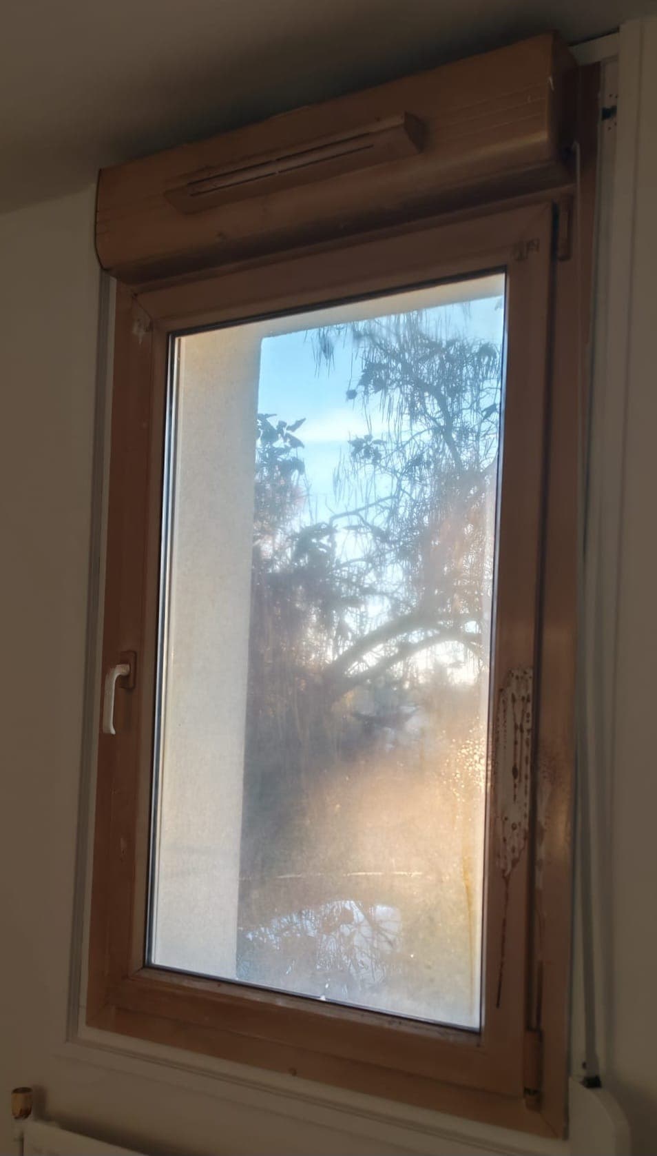 Nettoyage Vitres - Avant